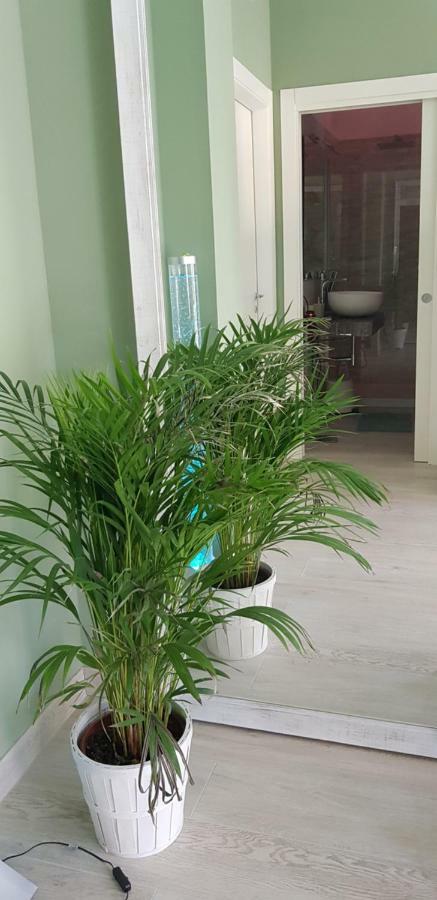 דירות מראטיאה Casa Mara & Casa Tea מראה חיצוני תמונה